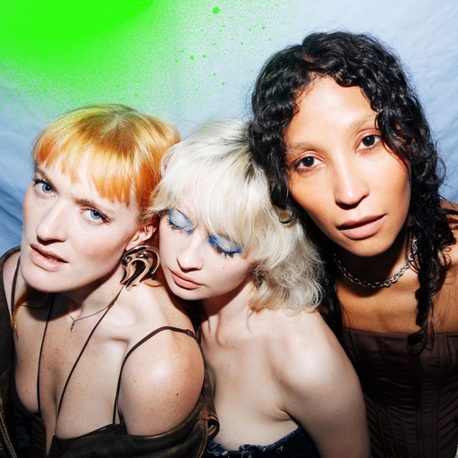 学生露出🐻让老师玩作文
